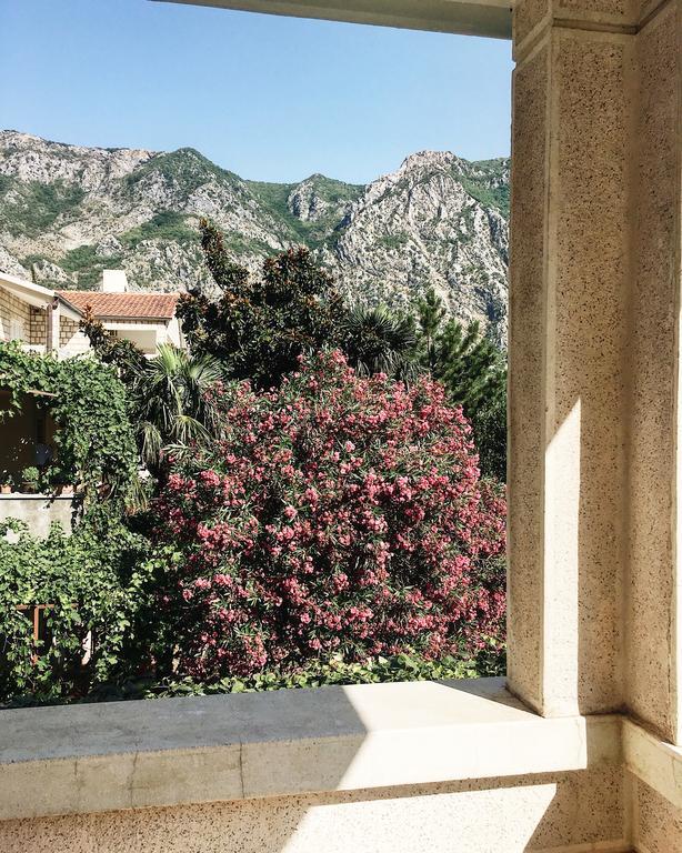 Villa Teuta Risan Rum bild